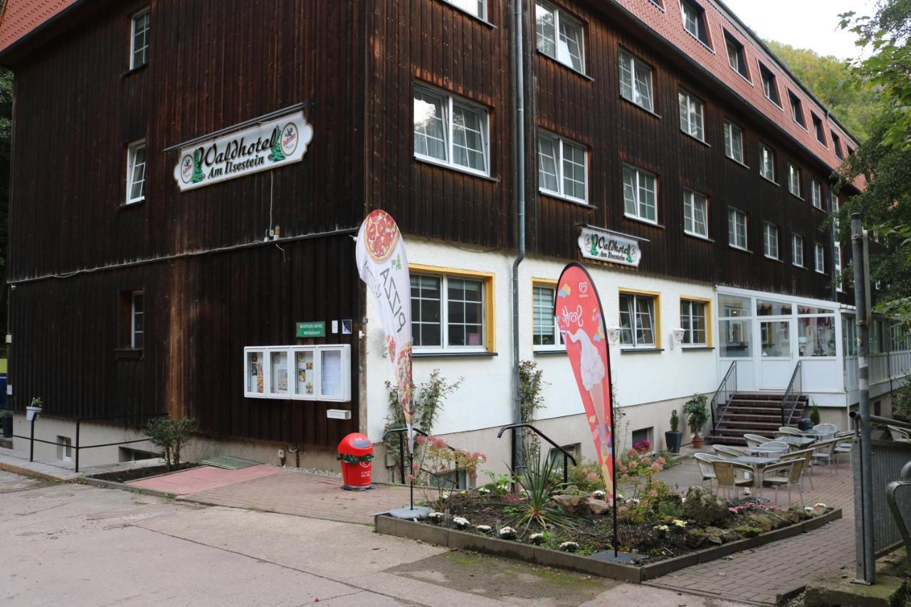 Waldhotel Harz Ilsenburg Εξωτερικό φωτογραφία